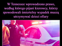 W Tennessee wprowadzono prawo, według którego pijani kierowcy, którzy spowodowali śmiertelny wypadek muszą utrzymywać dzieci ofiary Poparlibyście takie 
rozwiązanie w Polsce?